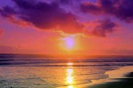 The Monterey Beach Resort St. Pete Beach Luaran gambar